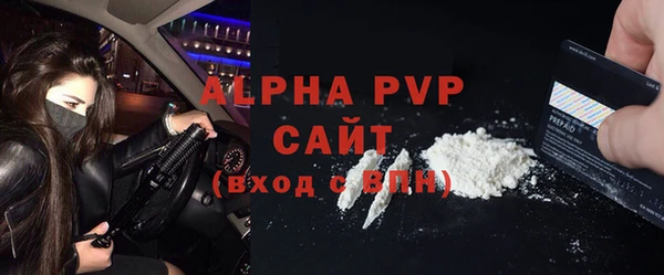 стаф Алексин