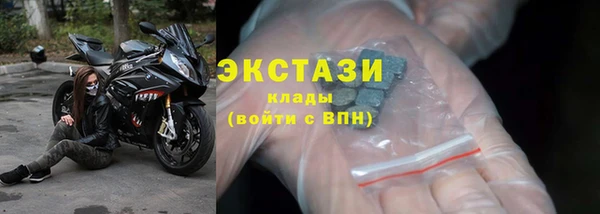стаф Алексин
