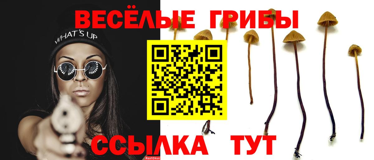 Новосибирск  Псилоцибиновые грибы Magic Shrooms  Вход с VPN 