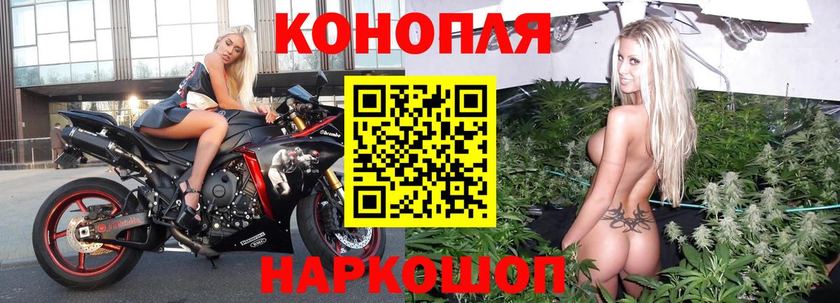 Конопля сатива Новосибирск